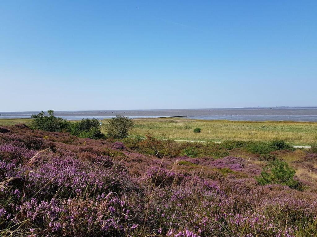 Apartment High Geest 4 - Including Many Extras Cuxhaven